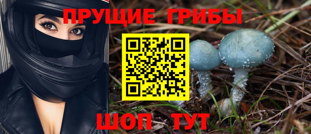 Галлюциногенные грибы GOLDEN TEACHER Абинск